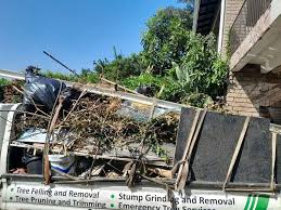 Best Moving and Downsizing Cleanouts  in Netcong, NJ